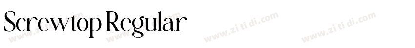 Screwtop Regular字体转换